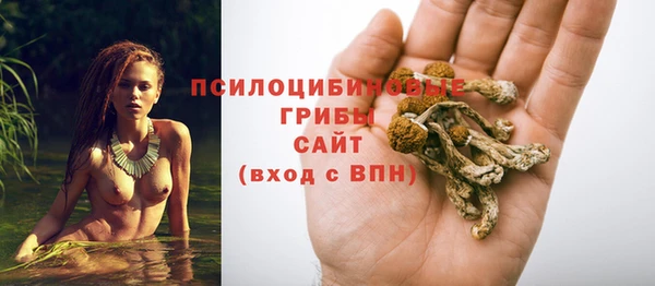 прущая мука Алексин