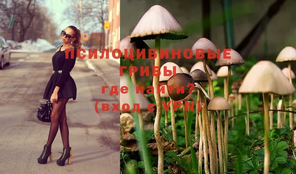 спайс Абаза