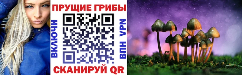 Галлюциногенные грибы Magic Shrooms Рязань