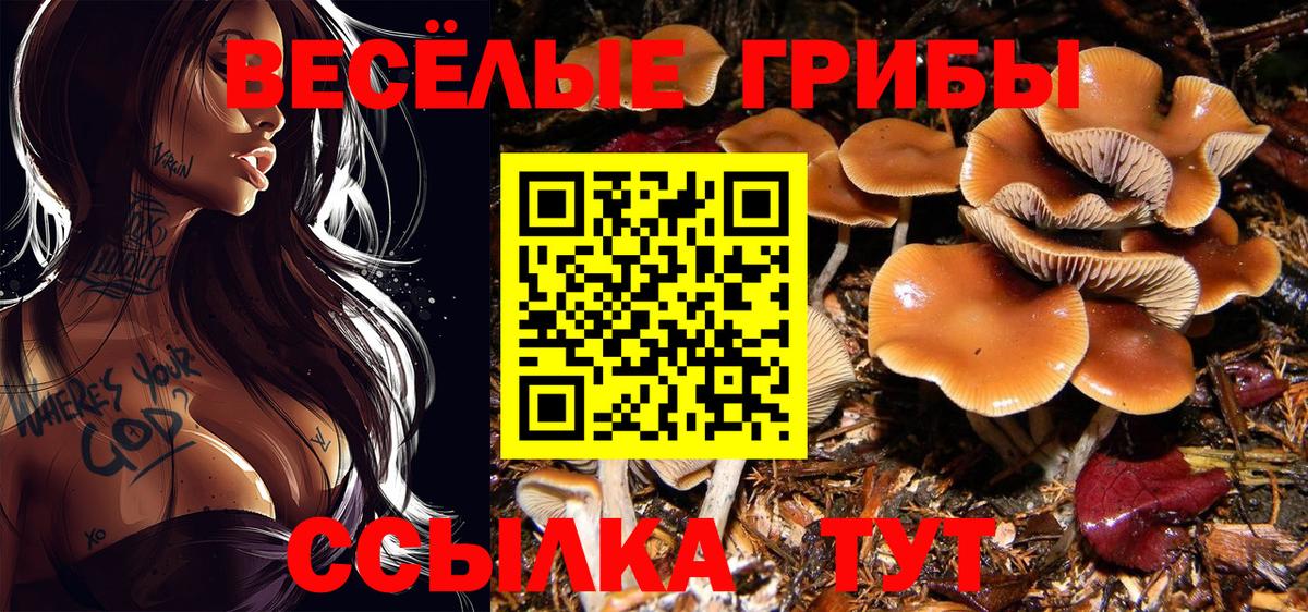 Рязань  Галлюциногенные грибы ЛСД  Вход с VPN 