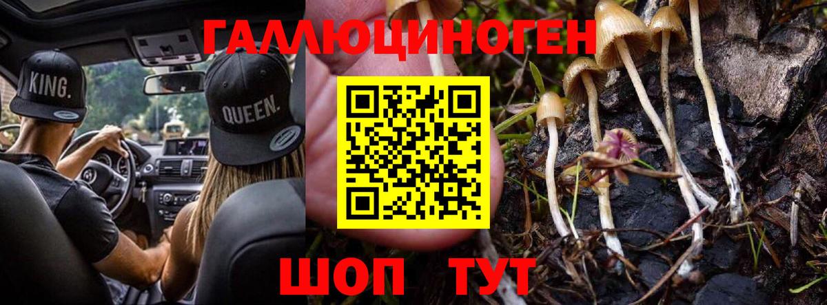 Галлюциногенные грибы ЛСД Рязань